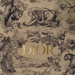 Dior shopping bag (paper)